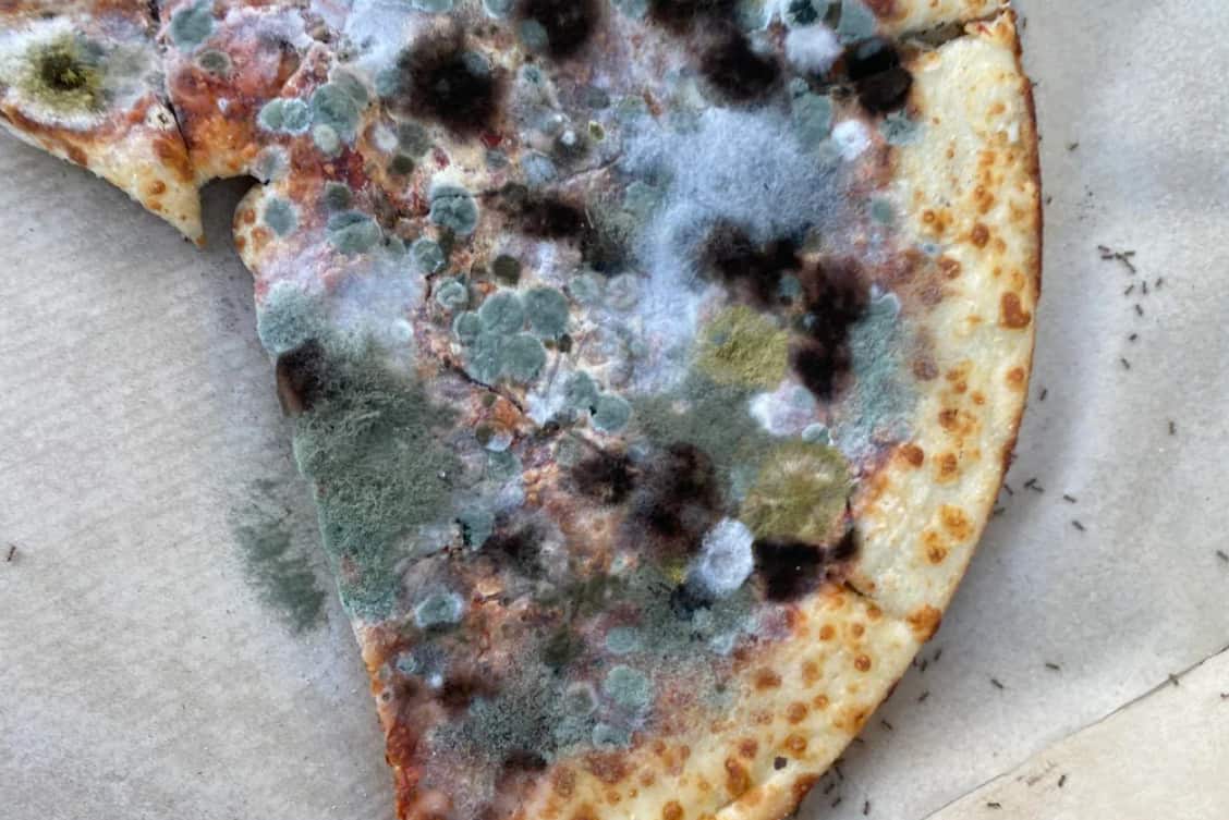 moldy pizza