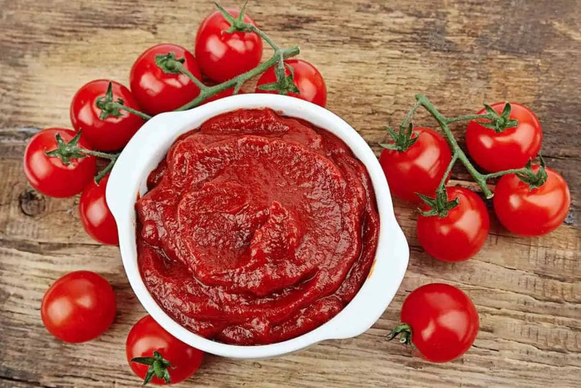 Is tomato sauce safe for dogs