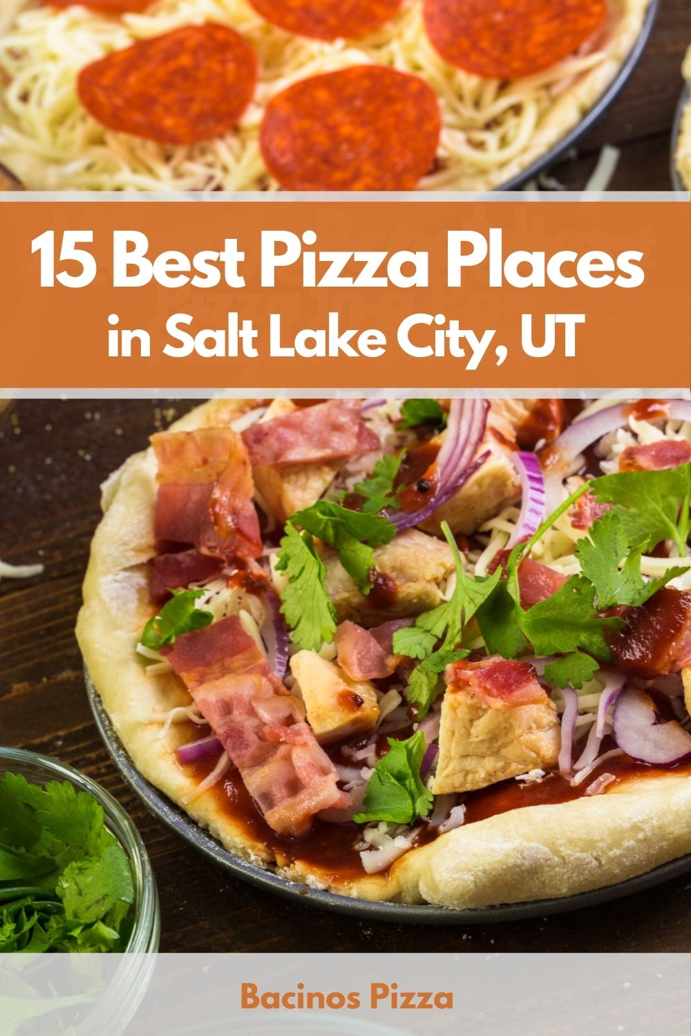 15 Best Pizza Places in Salt Lake City, UT pin