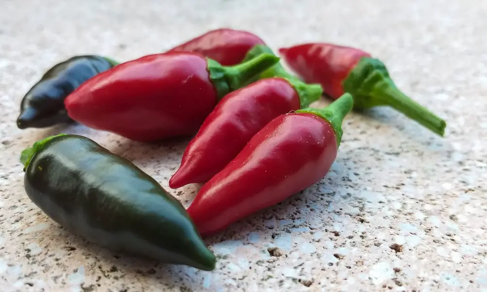 Calabrian Chiles 