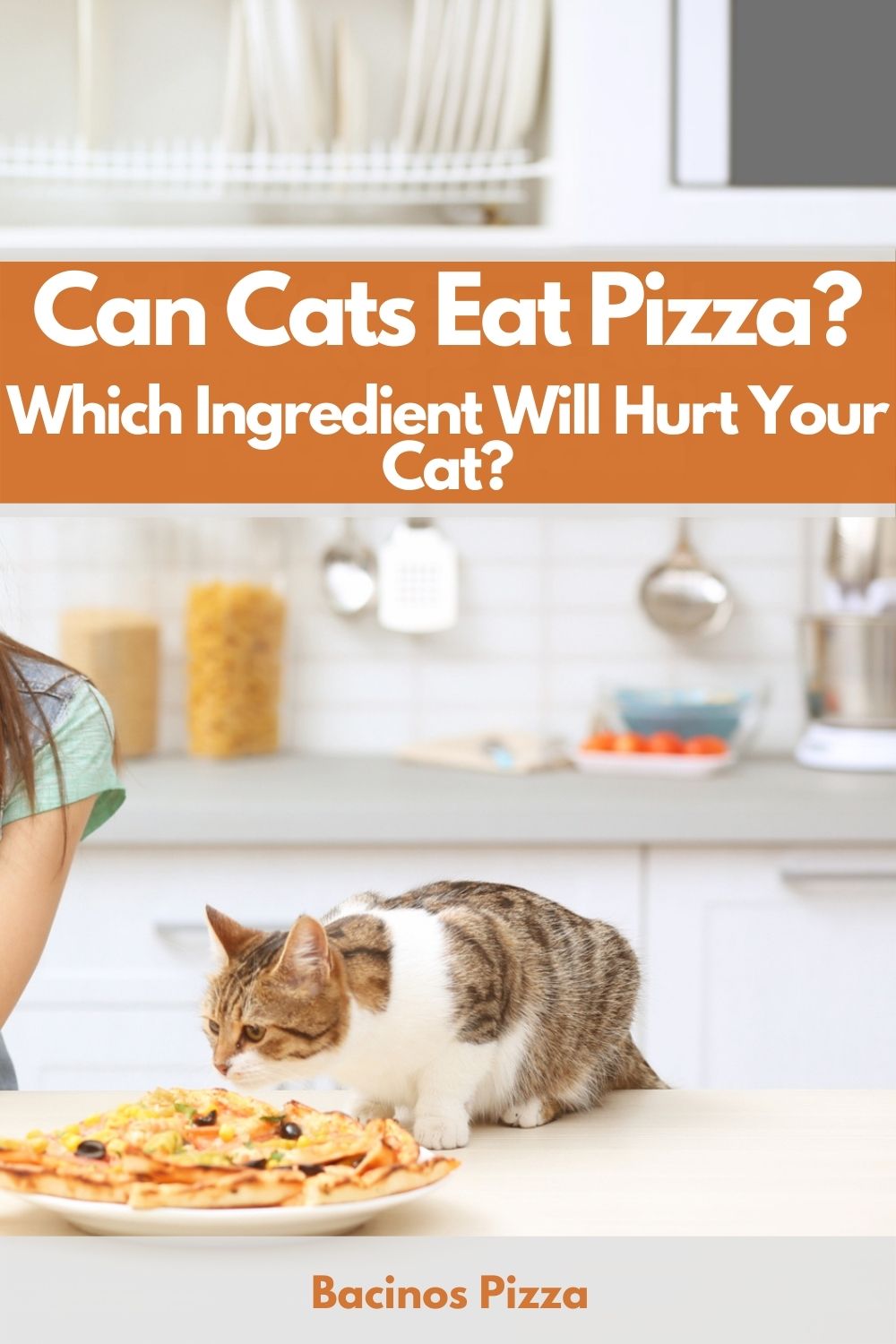 Can Cats Eat Pizza Which Ingredient Will Hurt Your Cat pin 2