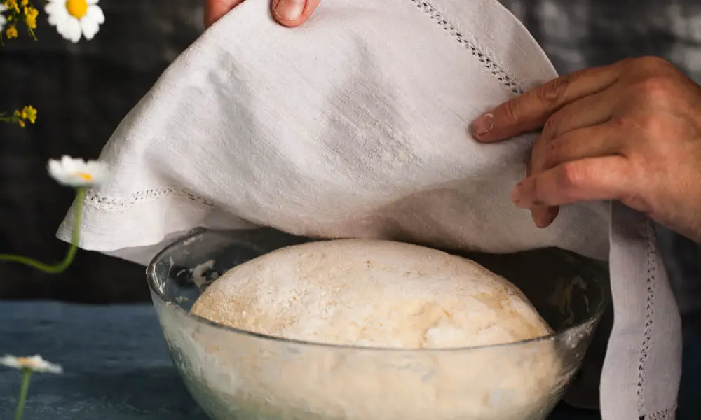 Ferment the Dough