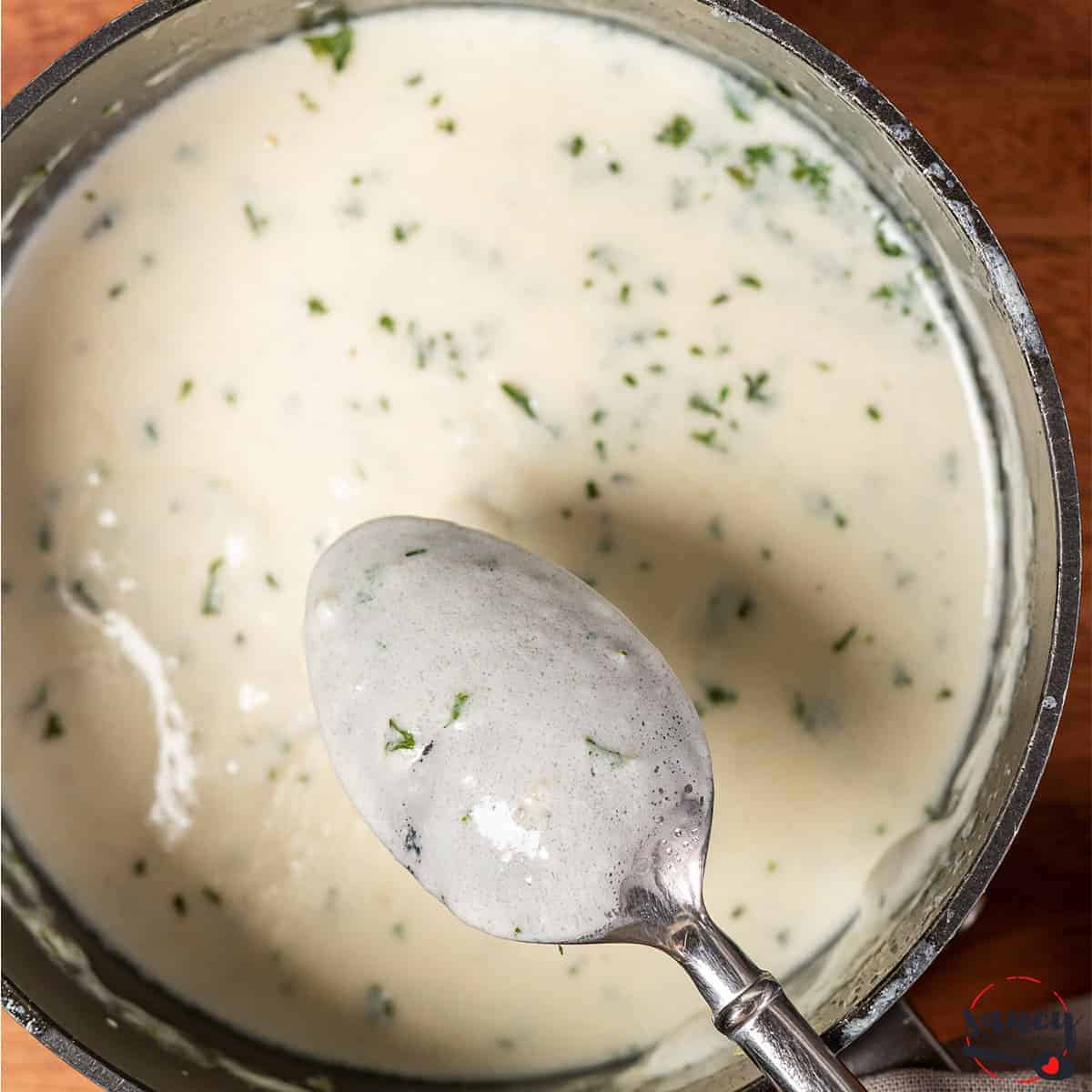 Isabel’s Garlic Sauce Recipe
