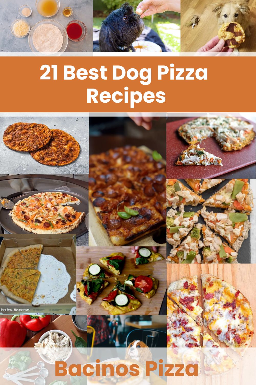 Dog Pizza Recipes