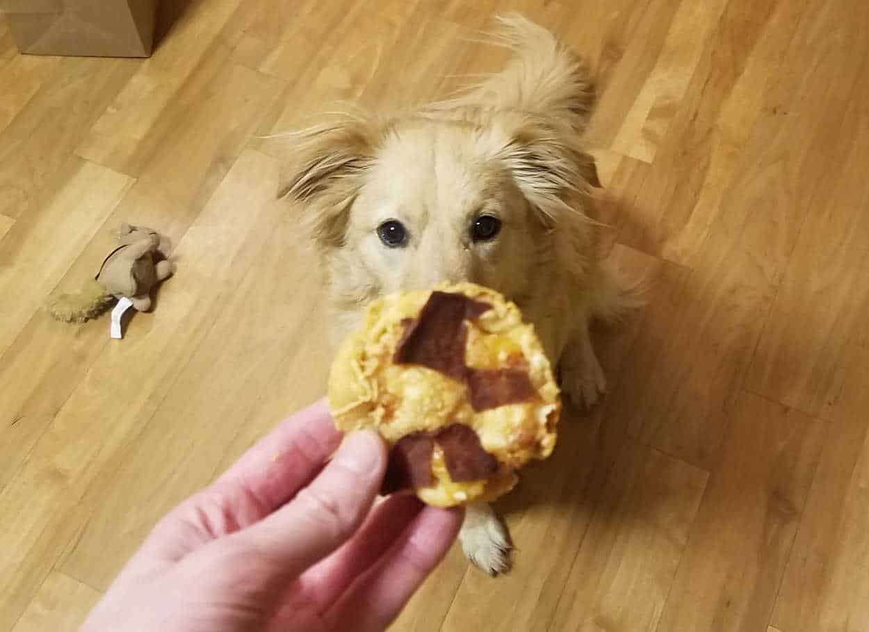 Healthy Paws Dog-Friendly Pizza Recipe