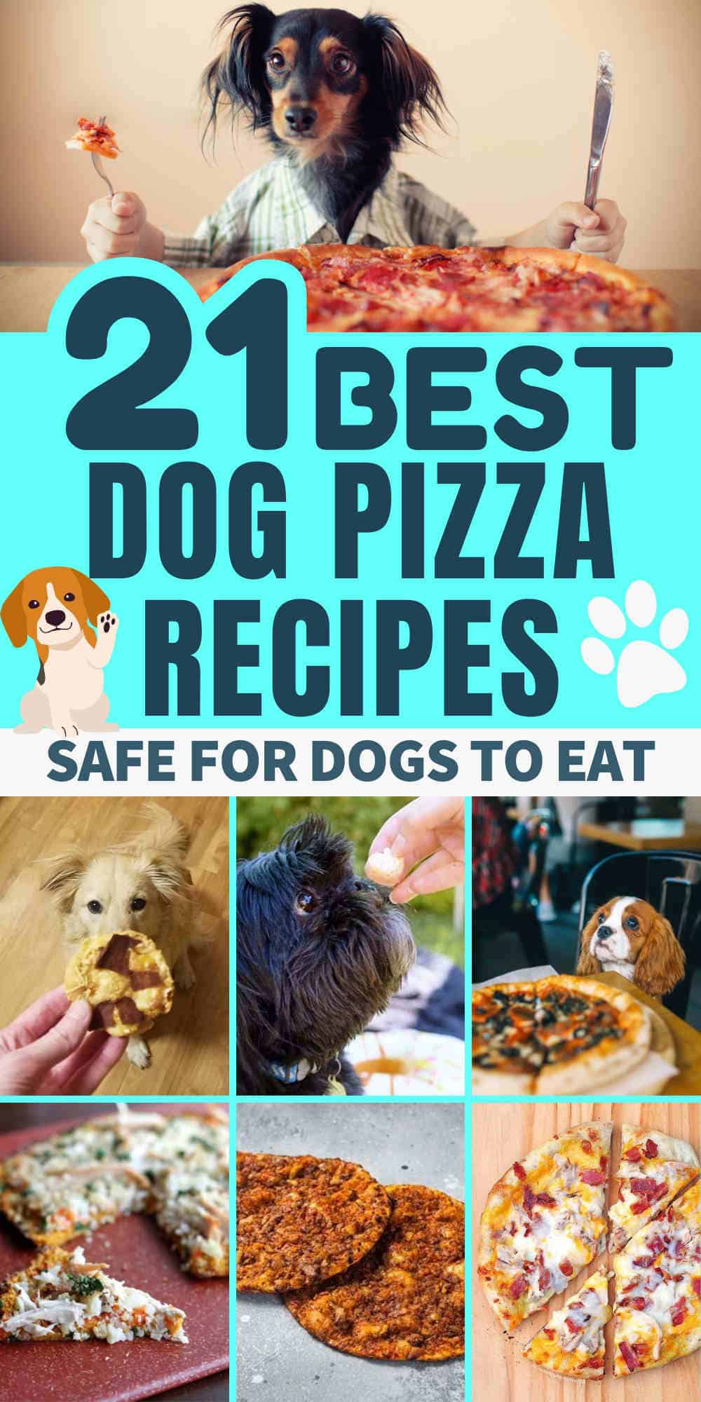 dog pizza recipes