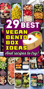 29 Creative Vegan Bento Box Ideas for Lunch