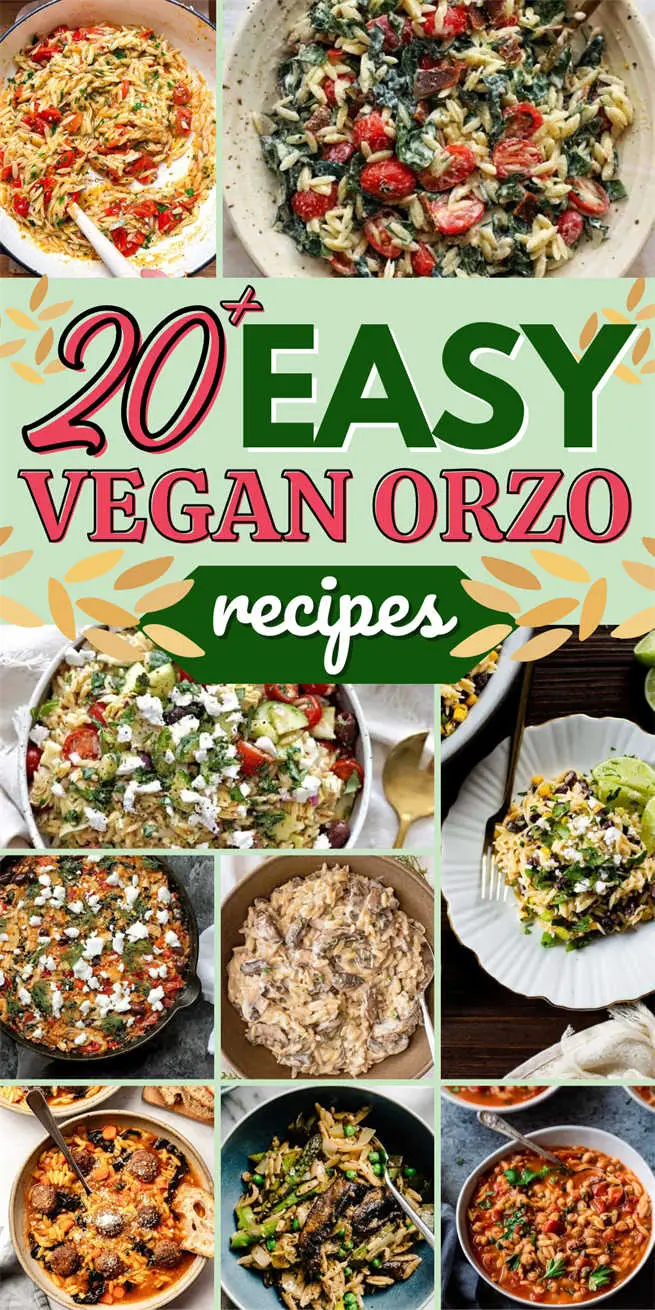 vegan-orzo-recipes