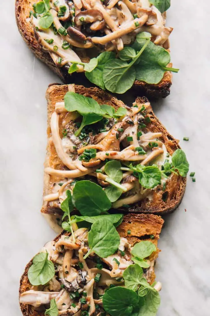 Wild Mushroom Sauce
