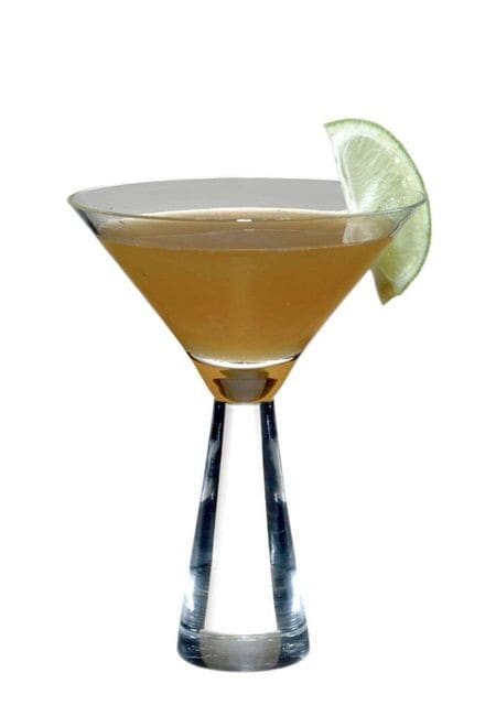 Tequila Honey Bee