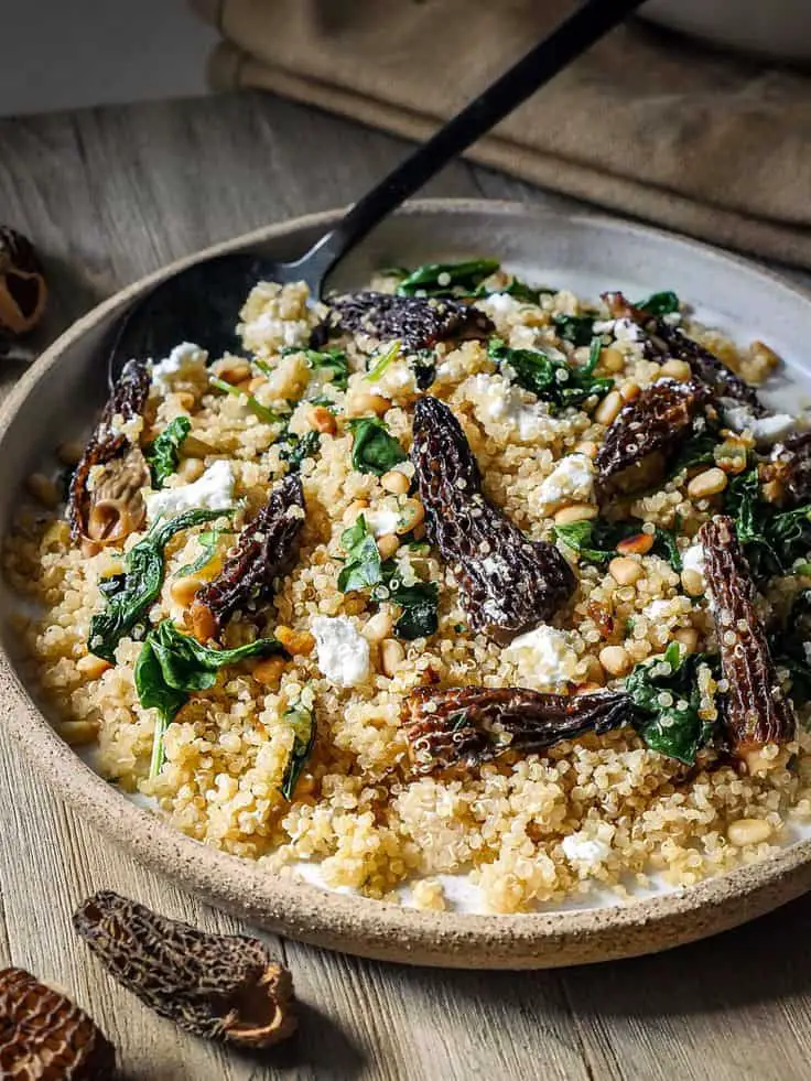 Crab-Stuffed Morel Mushrooms