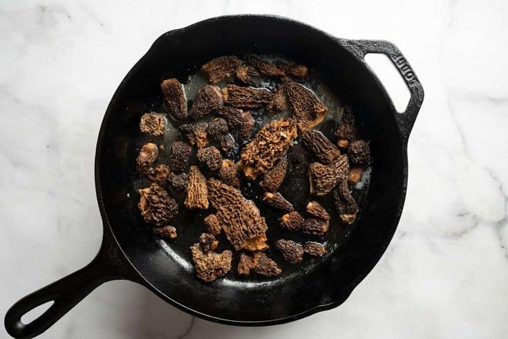 Mushroom Tortellini