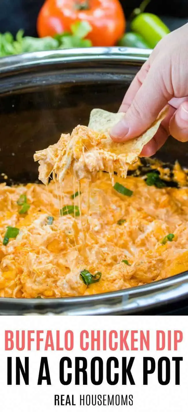 28 Crockpot Dip Recipes (Easy)