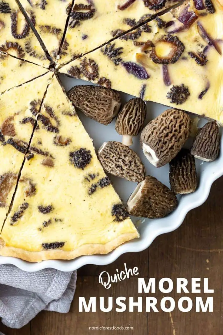 Sauteed Morel Mushrooms