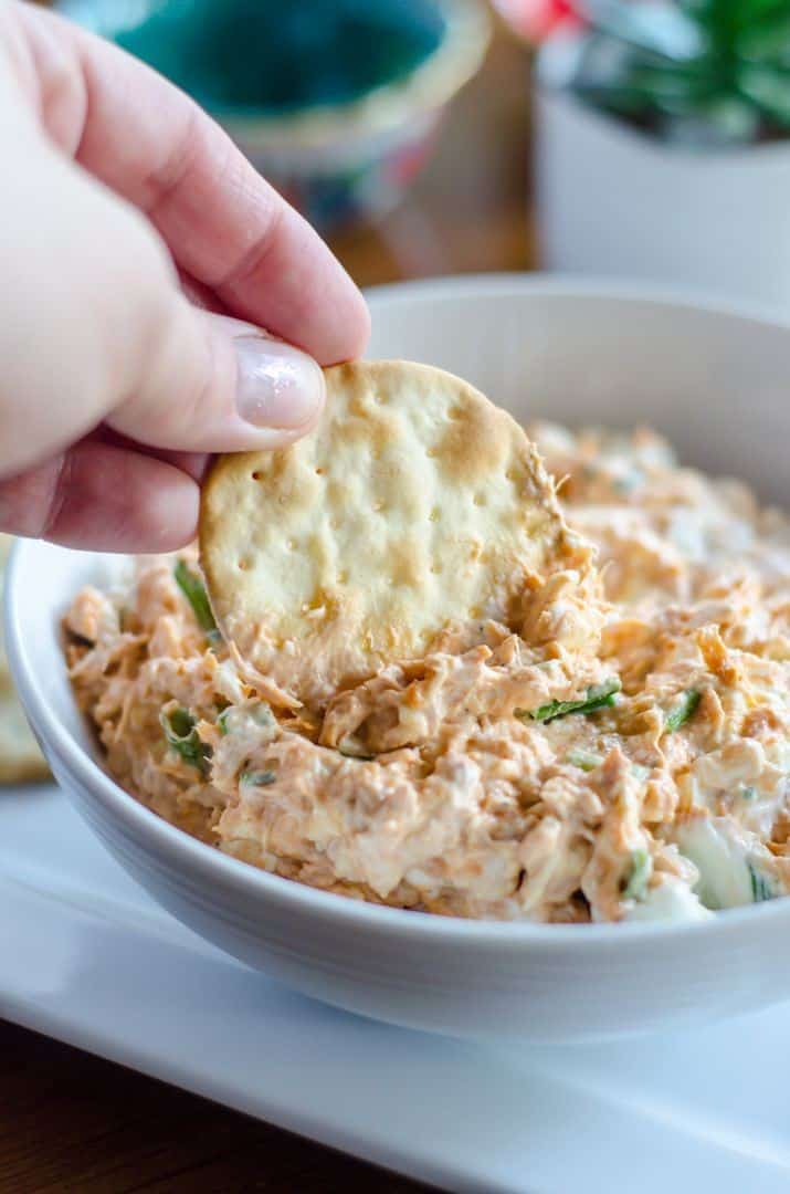 Easy Hot Tuna Dip