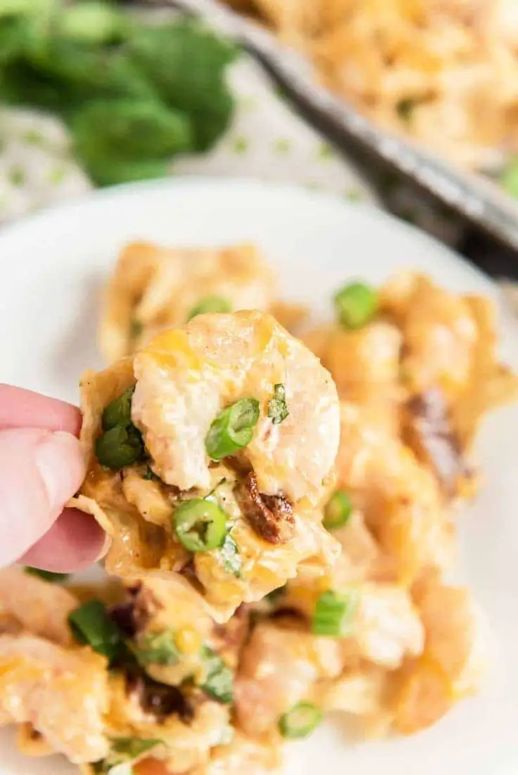 Tropical Shrimp Nachos
