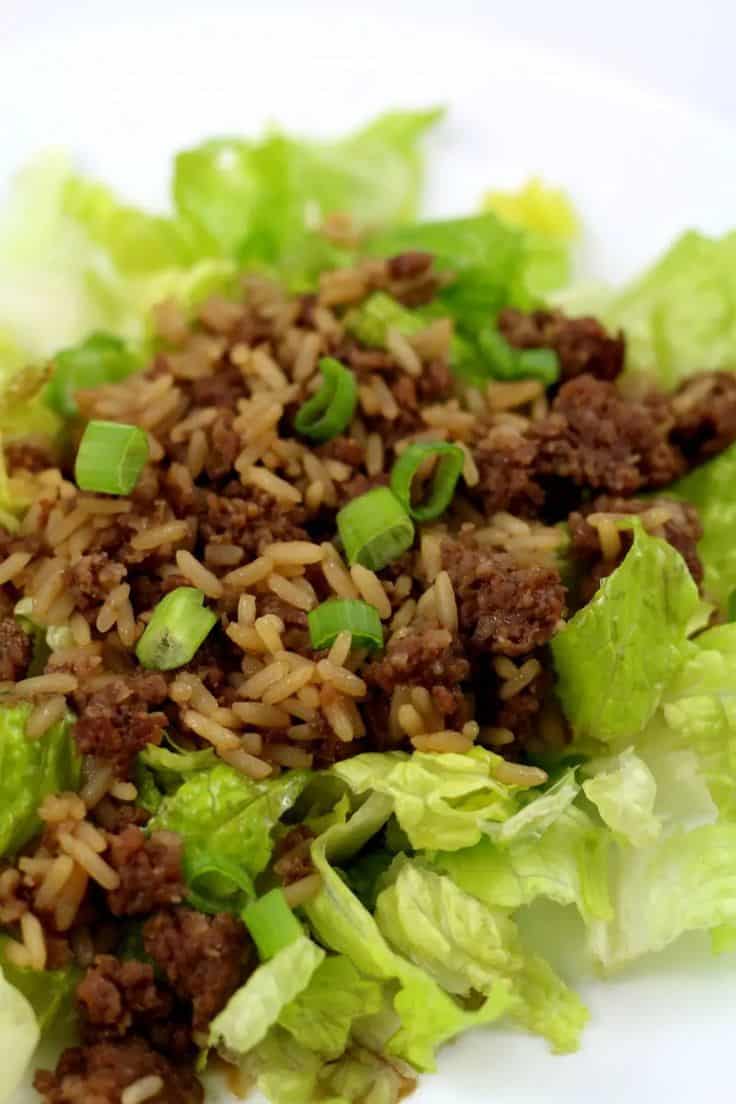 Instant Pot Ground Beef And Pasta