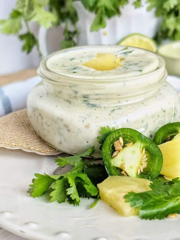 Spicy Garlic Aioli