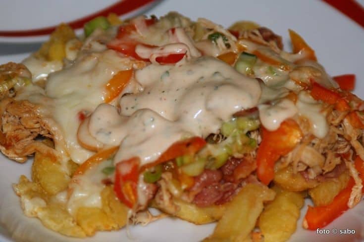 Skinny Texas Cheese Fries