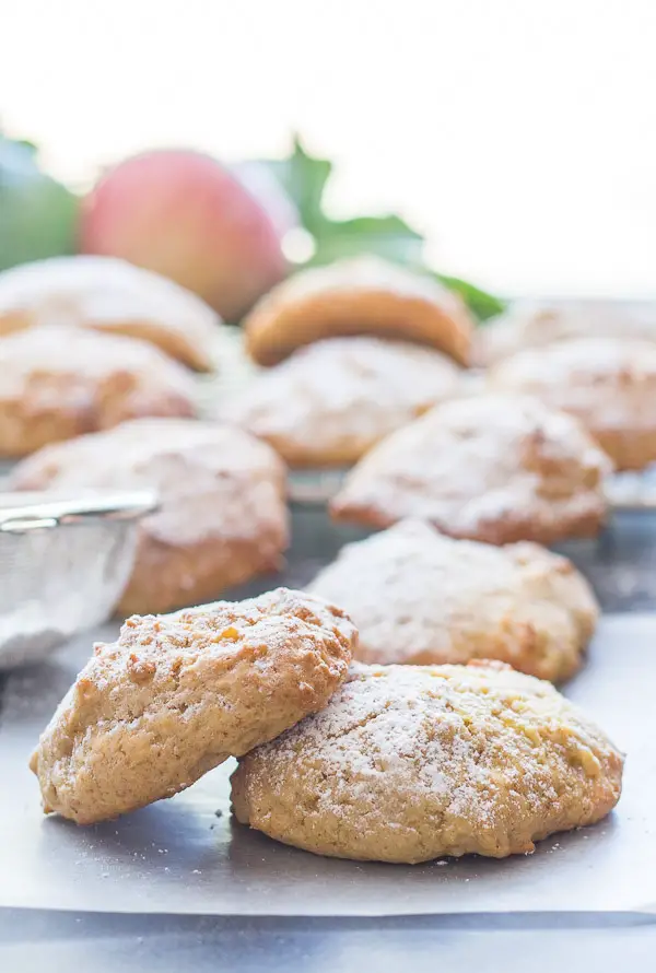 Applesauce Cookies