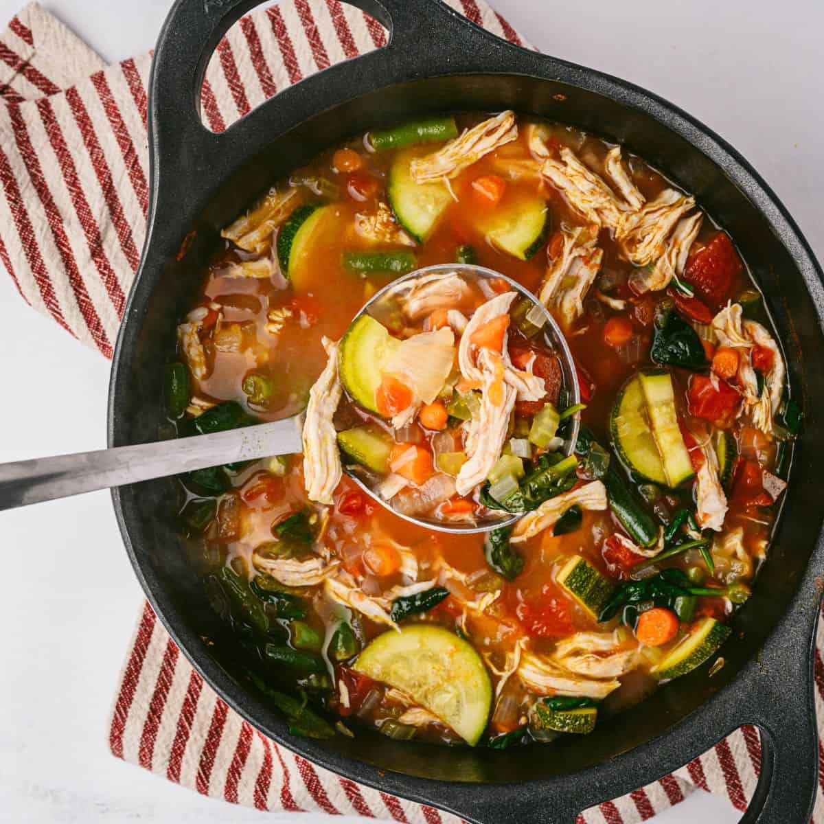 Chicken & Vegetable Soup