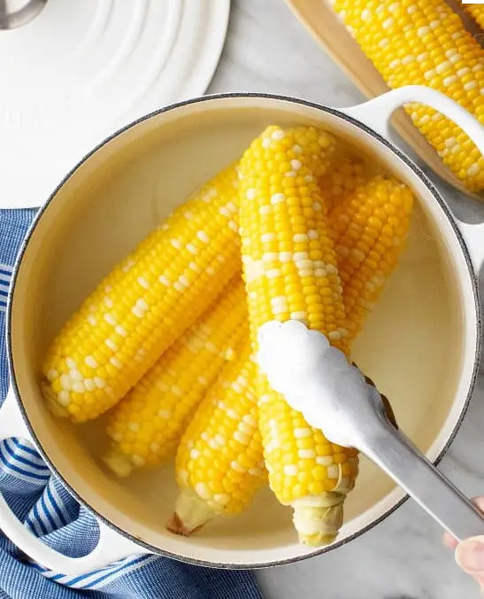 Corn On The Cob