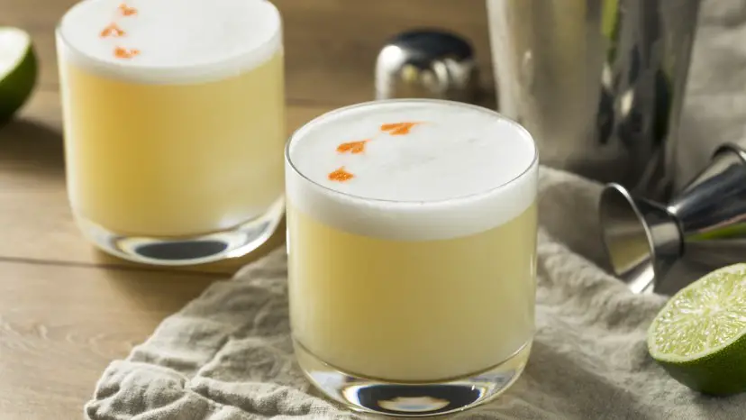 Gin Sour