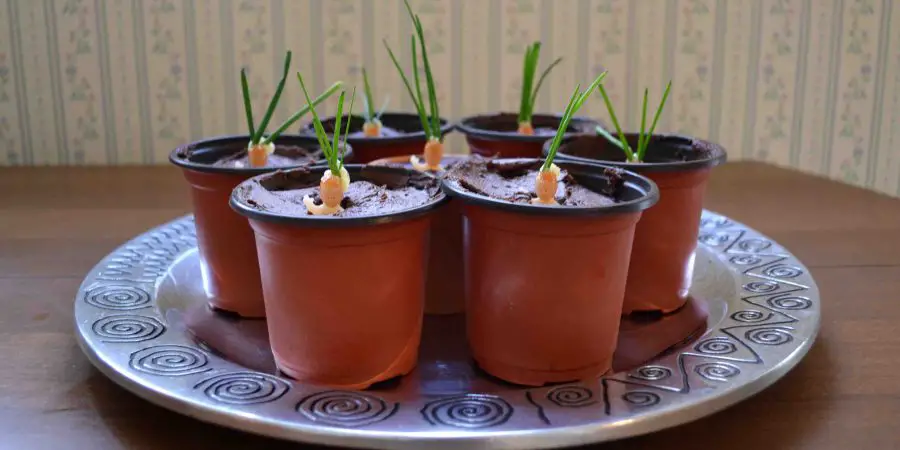 Mandrake Cupcakes