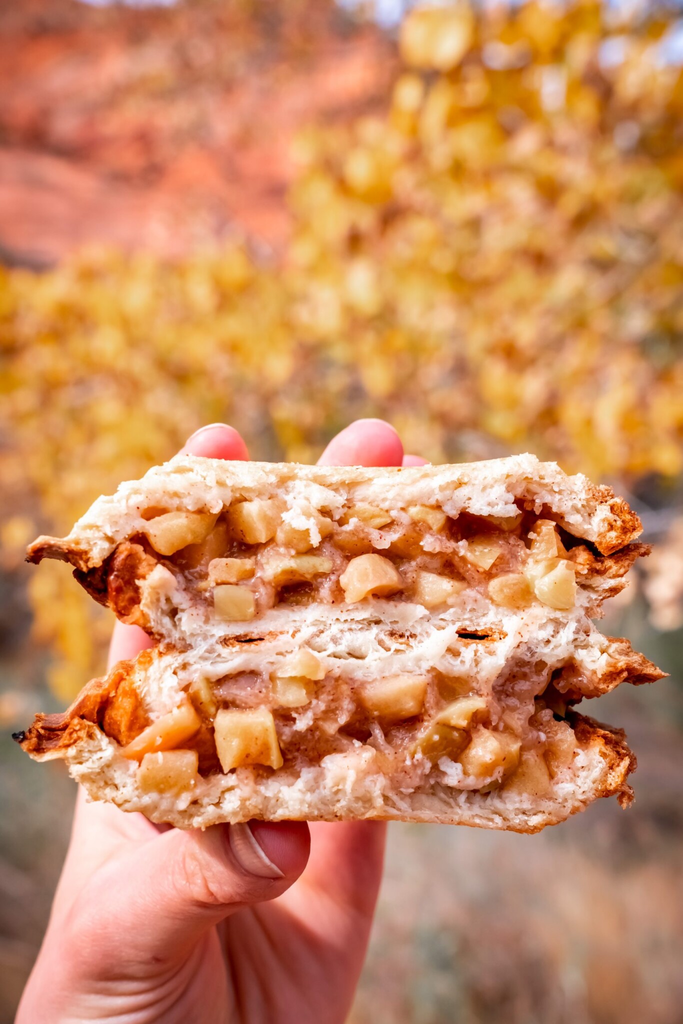 Pie Iron Apple Pie