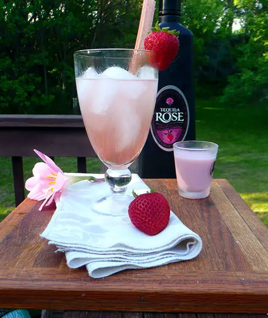 Rhubarb Rose Cocktail