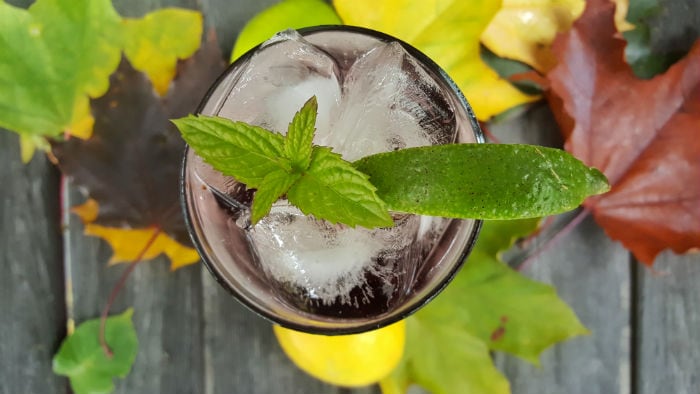 Vodka Cranberry Cocktail