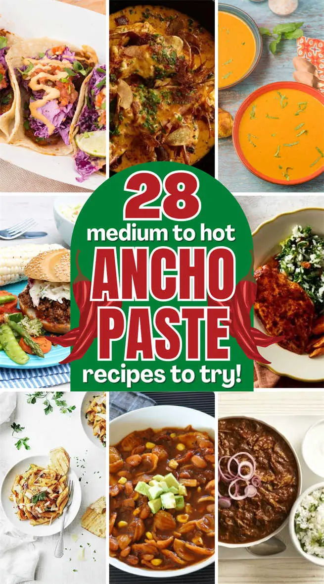 ancho-paste-recipes