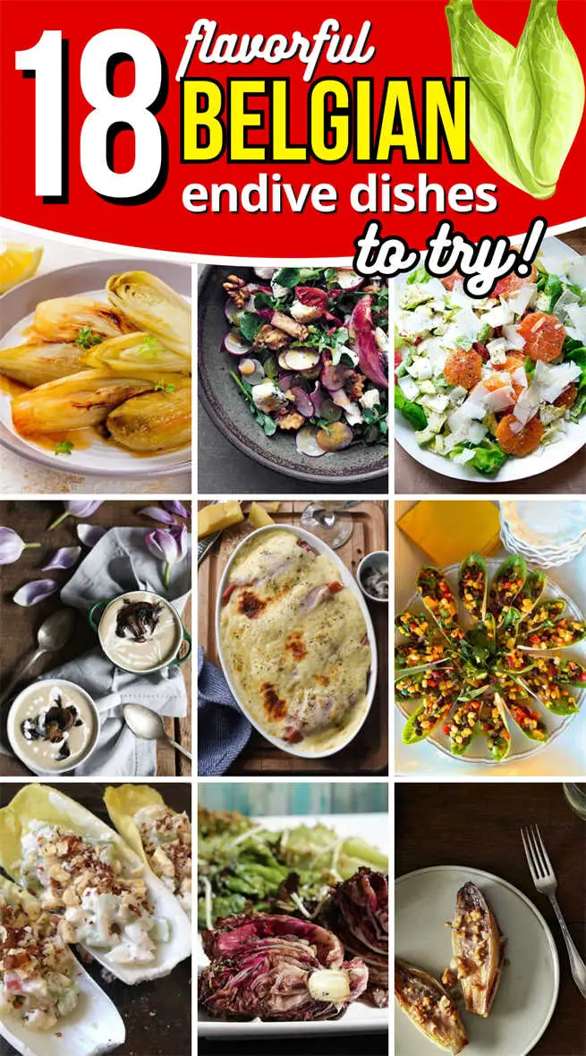belgian-endive-recipes