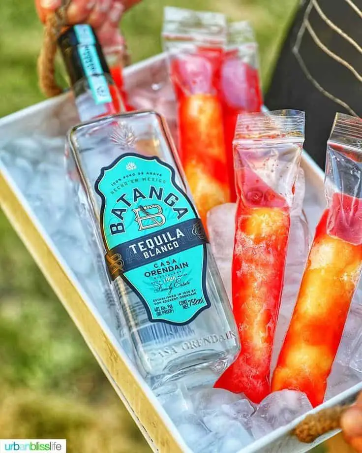 Strawberry Rosé Wine Popsicles