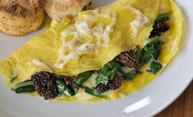 Morel Mushroom Pate