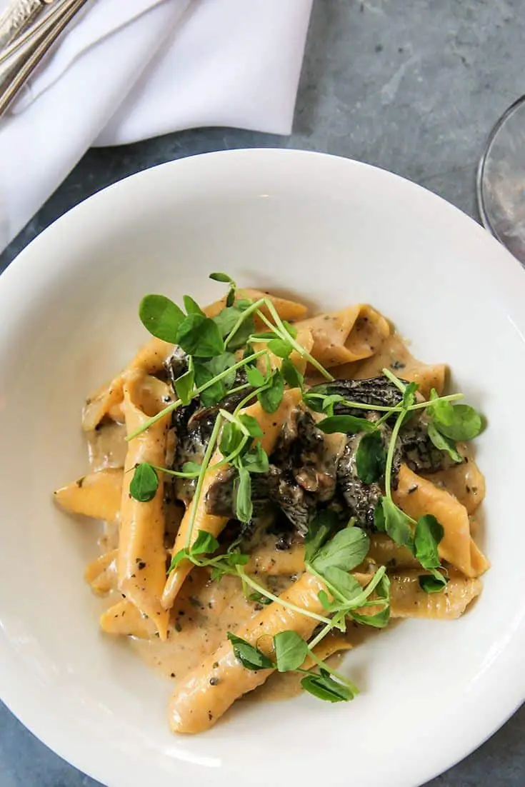 Morel Mushroom Toast
