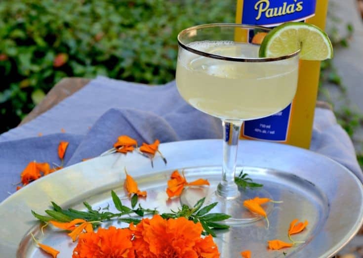 Blood Orange Texas Margarita