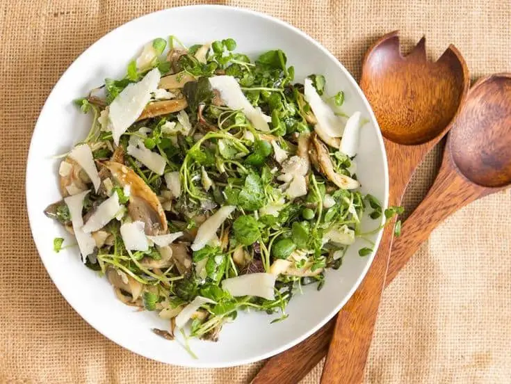 Blueberry Watercress Salad