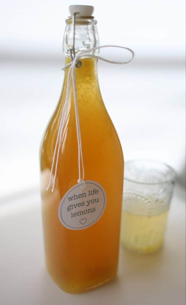 Fresh Lime and Mint Cordial