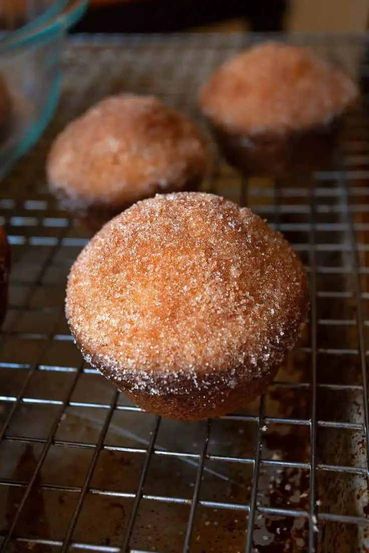 New Orleans Beignets