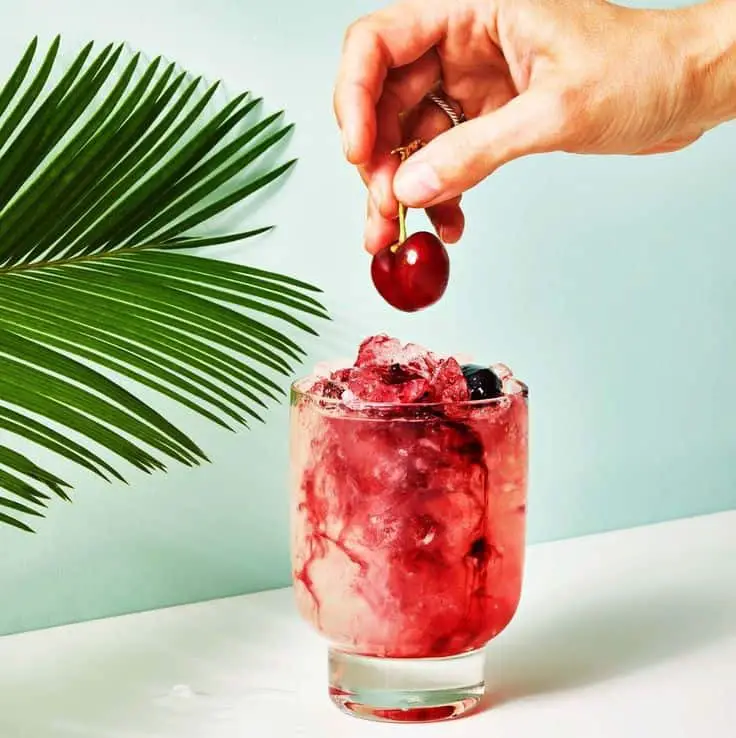 Sparkling Pomegranate Cocktail