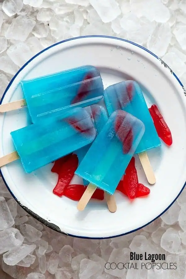 Apple Cider Popsicles