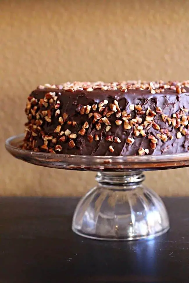Chocolate Sheet Mexican Cake