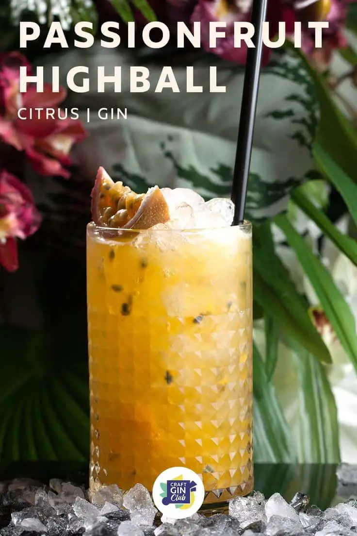 Virgin Mojito