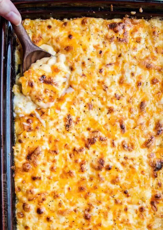 Vegetable Lasagna