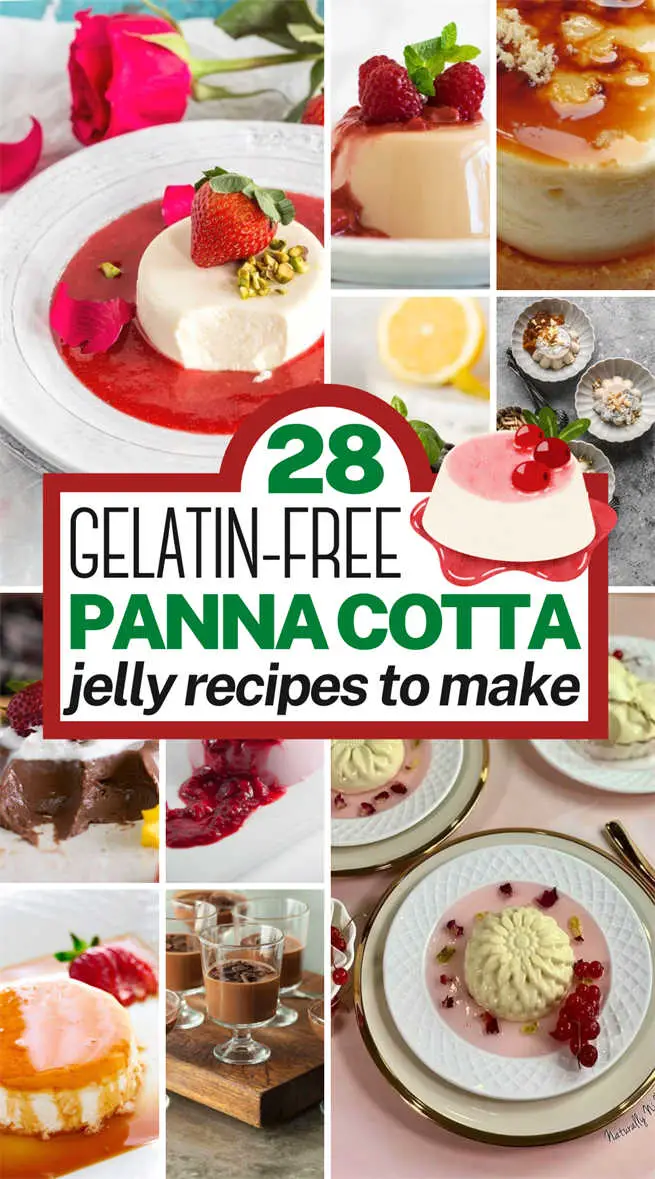 gelatin-free-panna-cotta-recipes