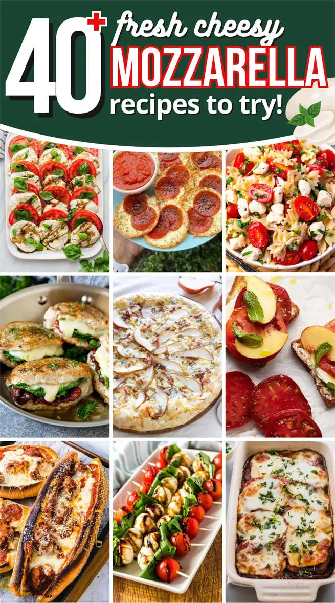mozzarella-recipes