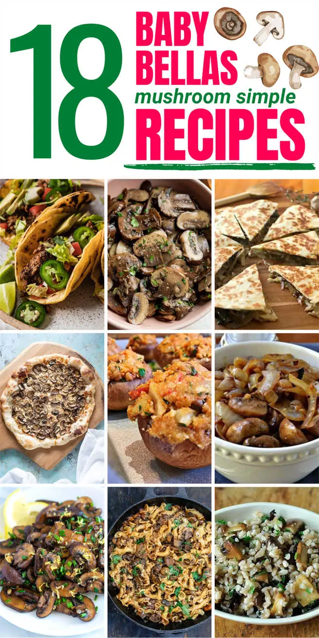 recipes-with-baby-bellas-mushrooms
