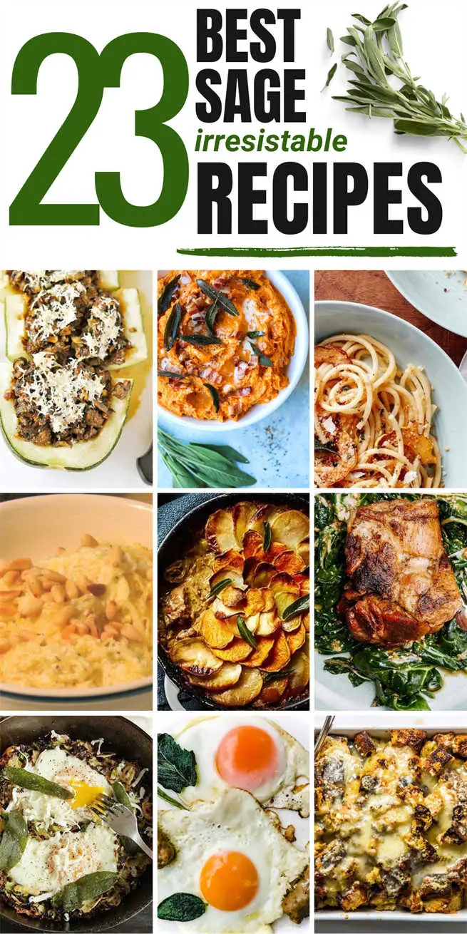 sage-recipes