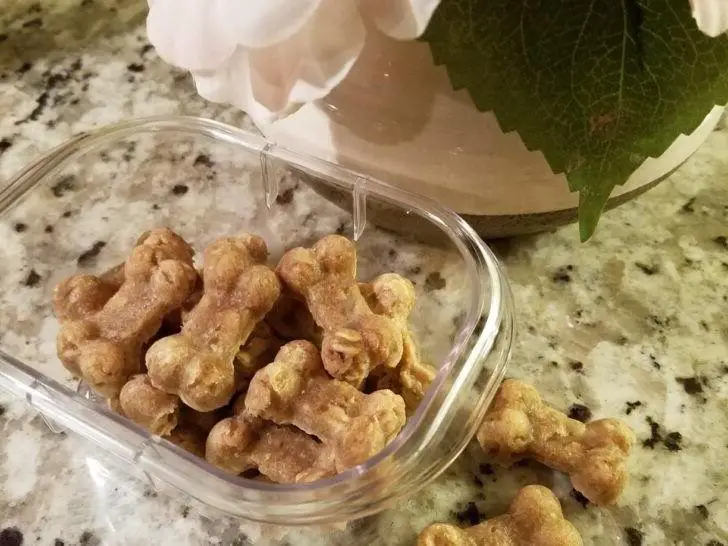 Apple Cinnamon Pupsicles